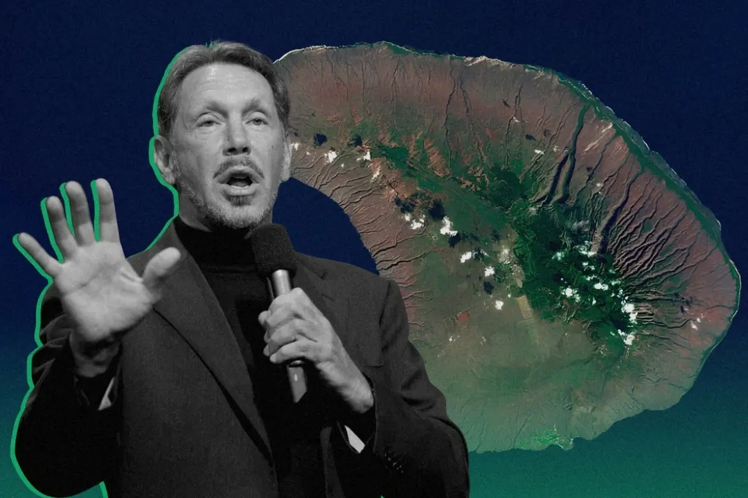 Larry Ellison IRHM Web